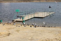 В рамках Всероссийской акции «Вода России» в Элисте наведут порядок на берегах Колонского пруда.