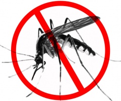 Памятка по защите от комаров и профилактике заболеваний, передающихся с их укусами